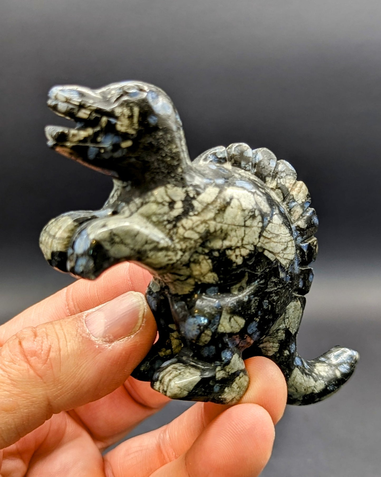 New! Que Sera Dino carving
