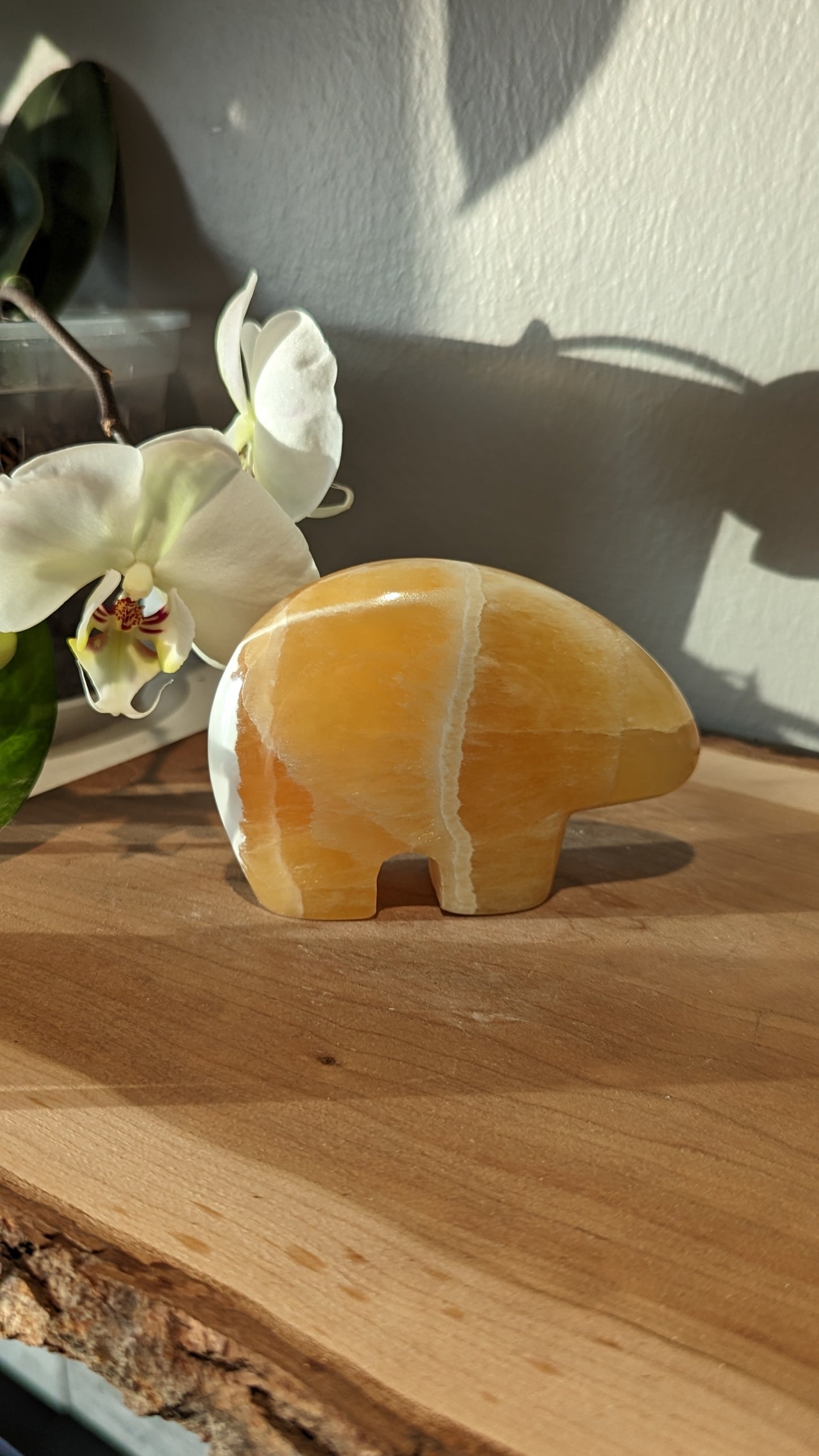 Honeycomb Bear Carving