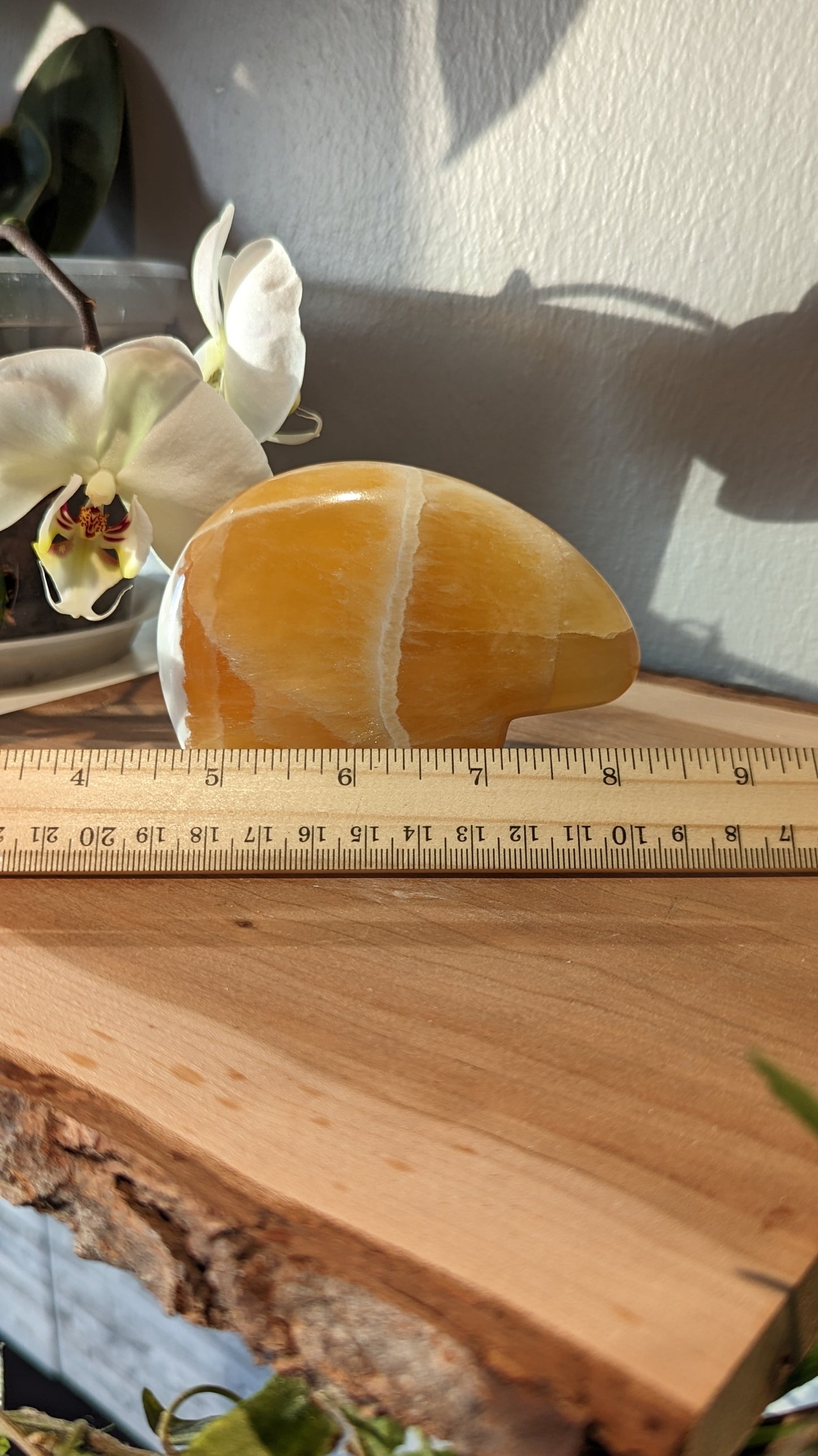 Honeycomb Bear Carving