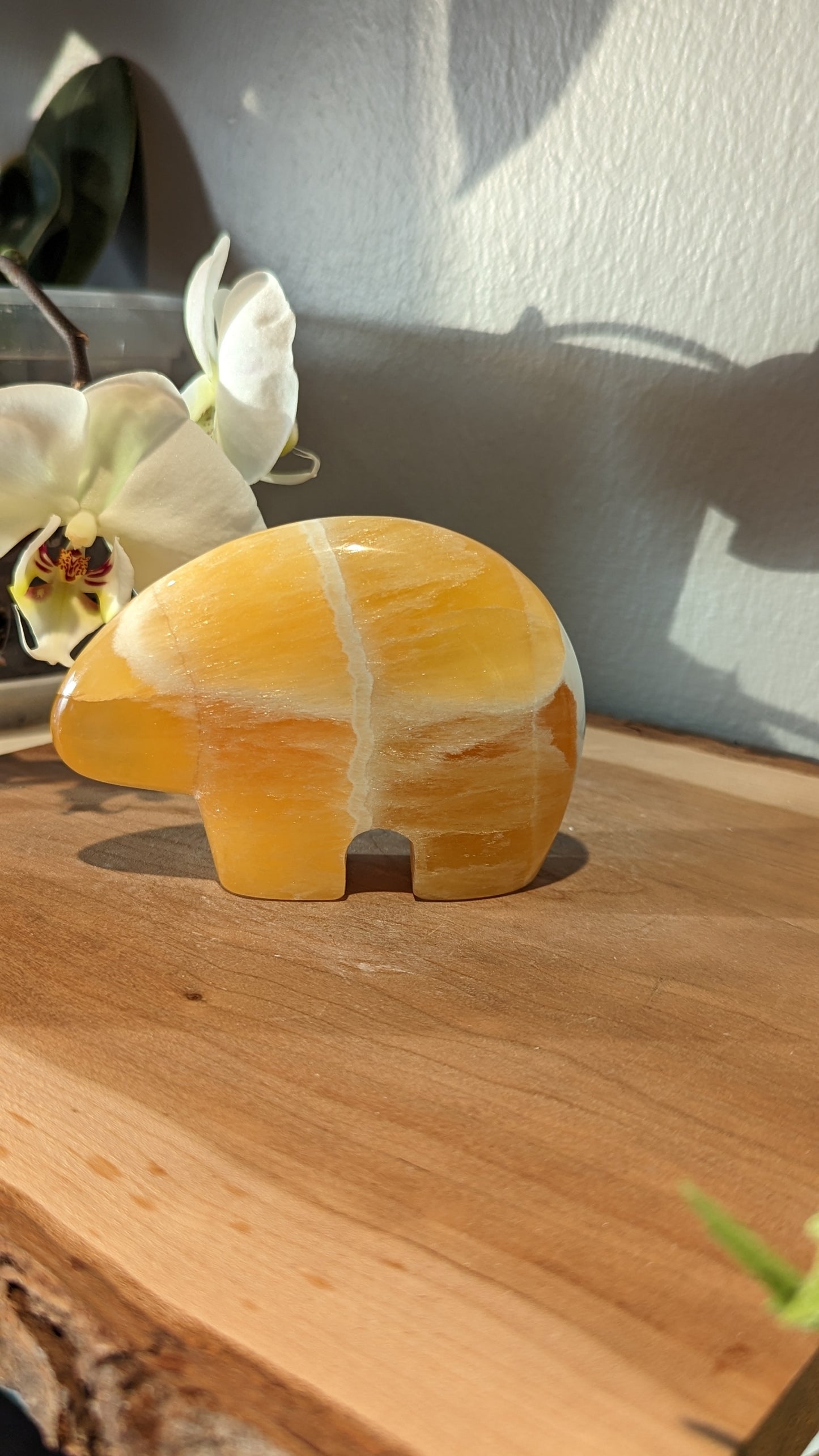 Honeycomb Bear Carving