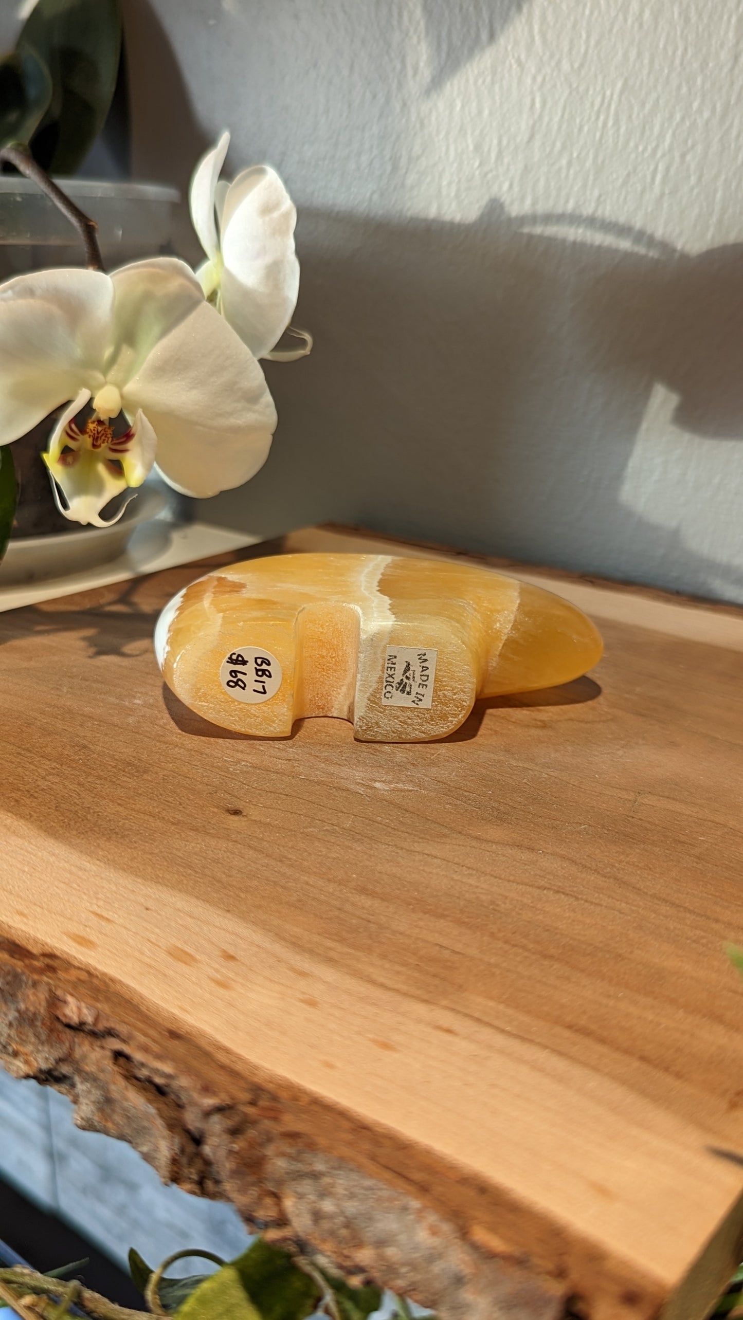 Honeycomb Bear Carving