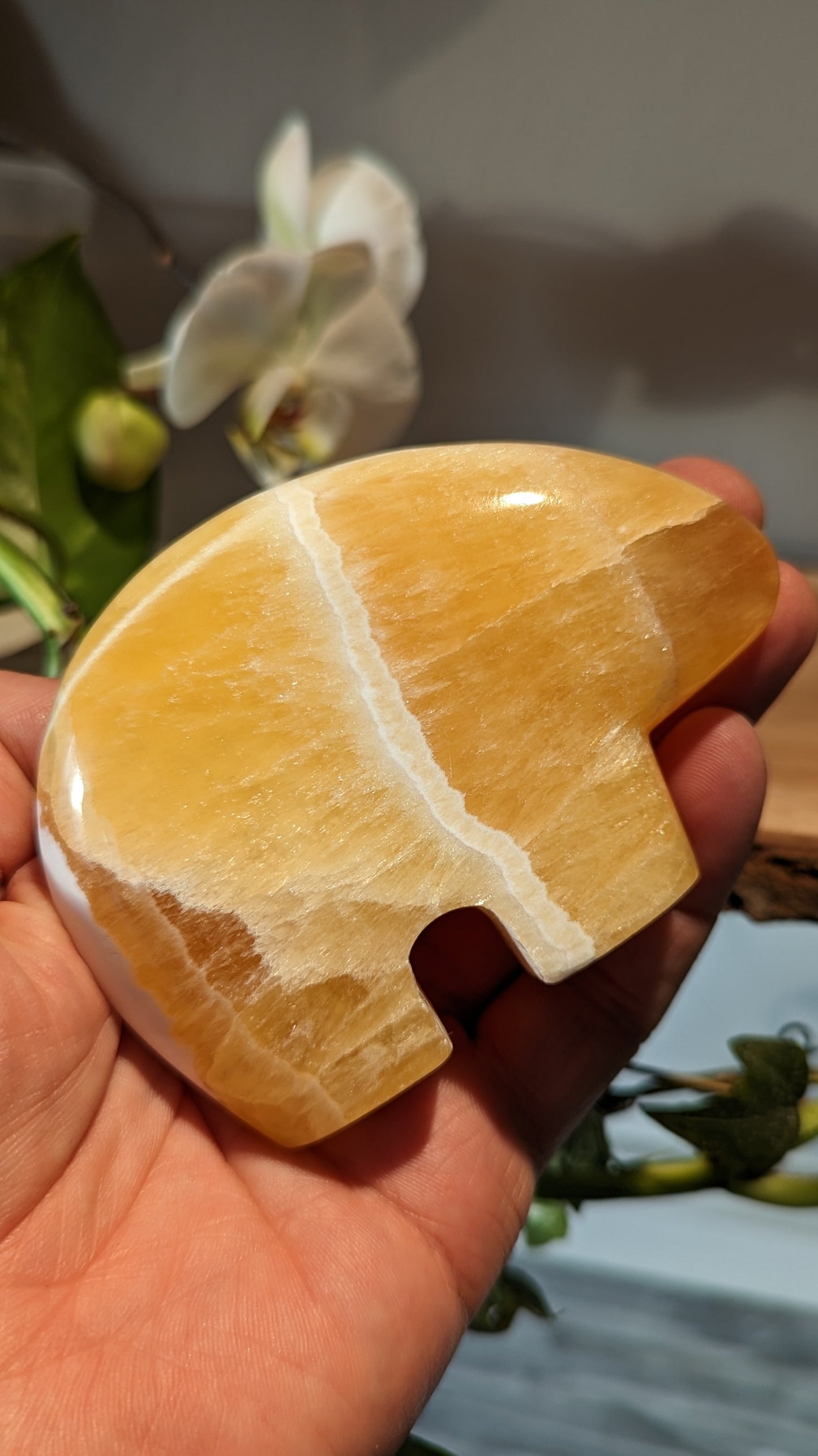 Honeycomb Bear Carving