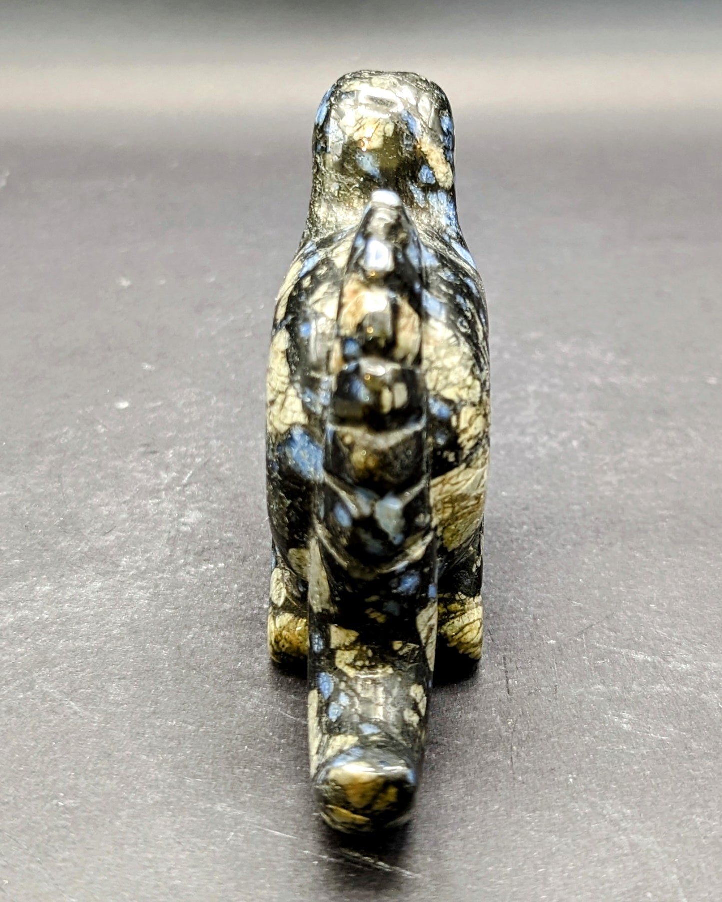 New! Que Sera Dino carving
