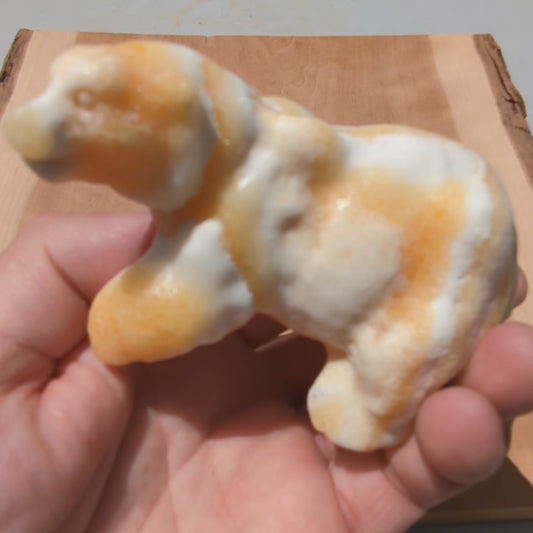 New! Honey Calcite Bear Carving