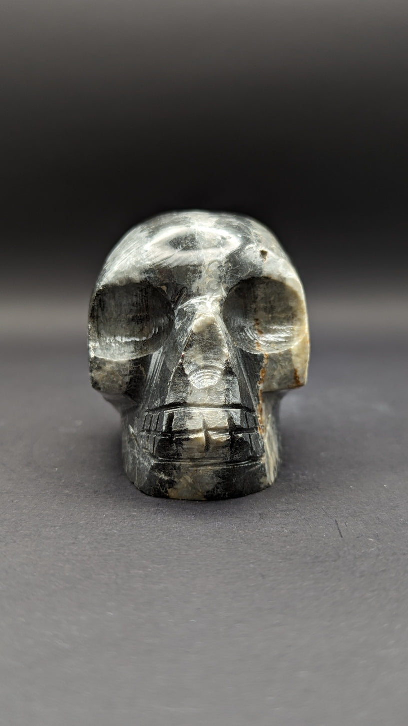 Zebra Jasper Skull Carving