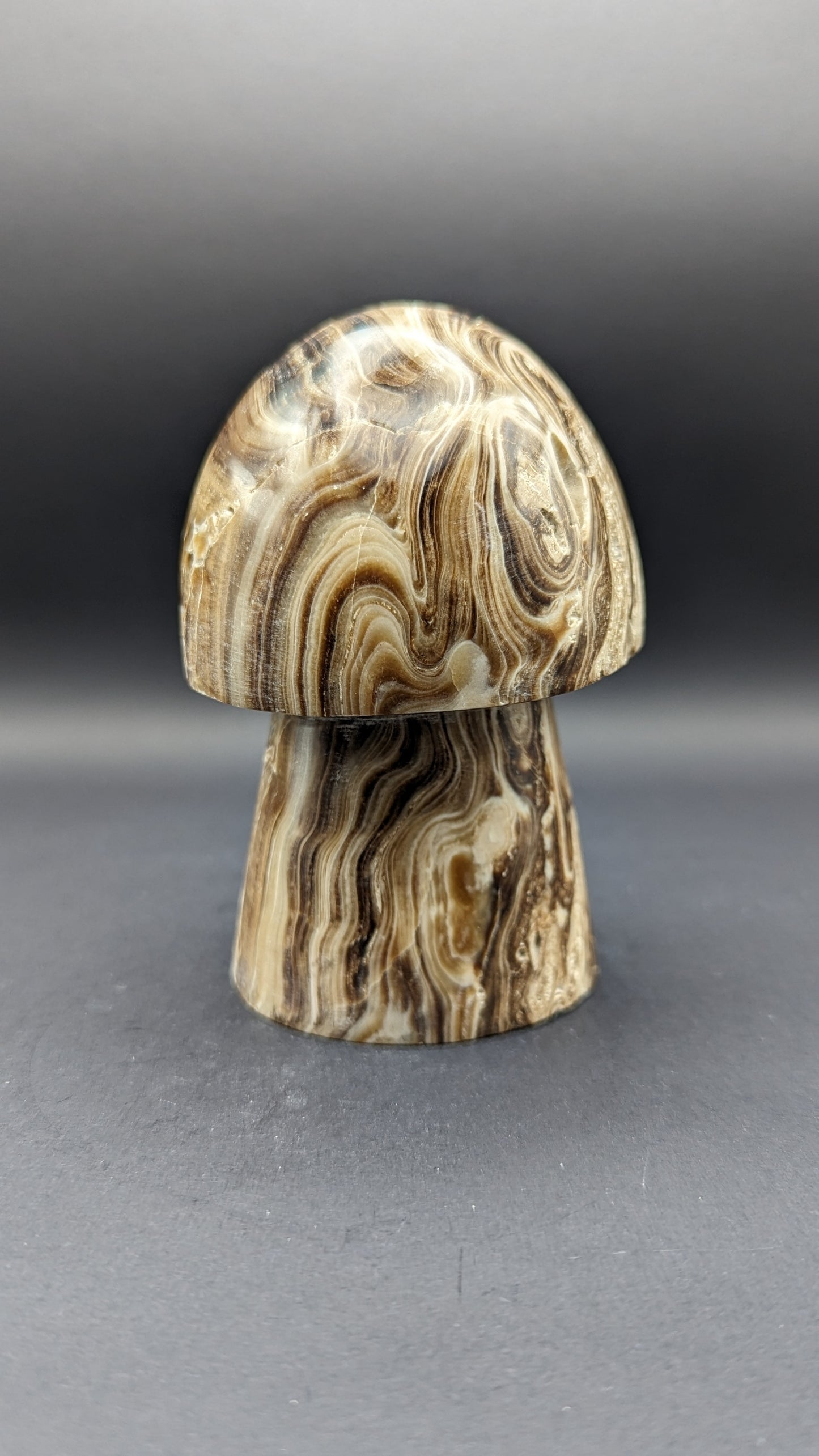Chocolate Calcite Mushroom Carving