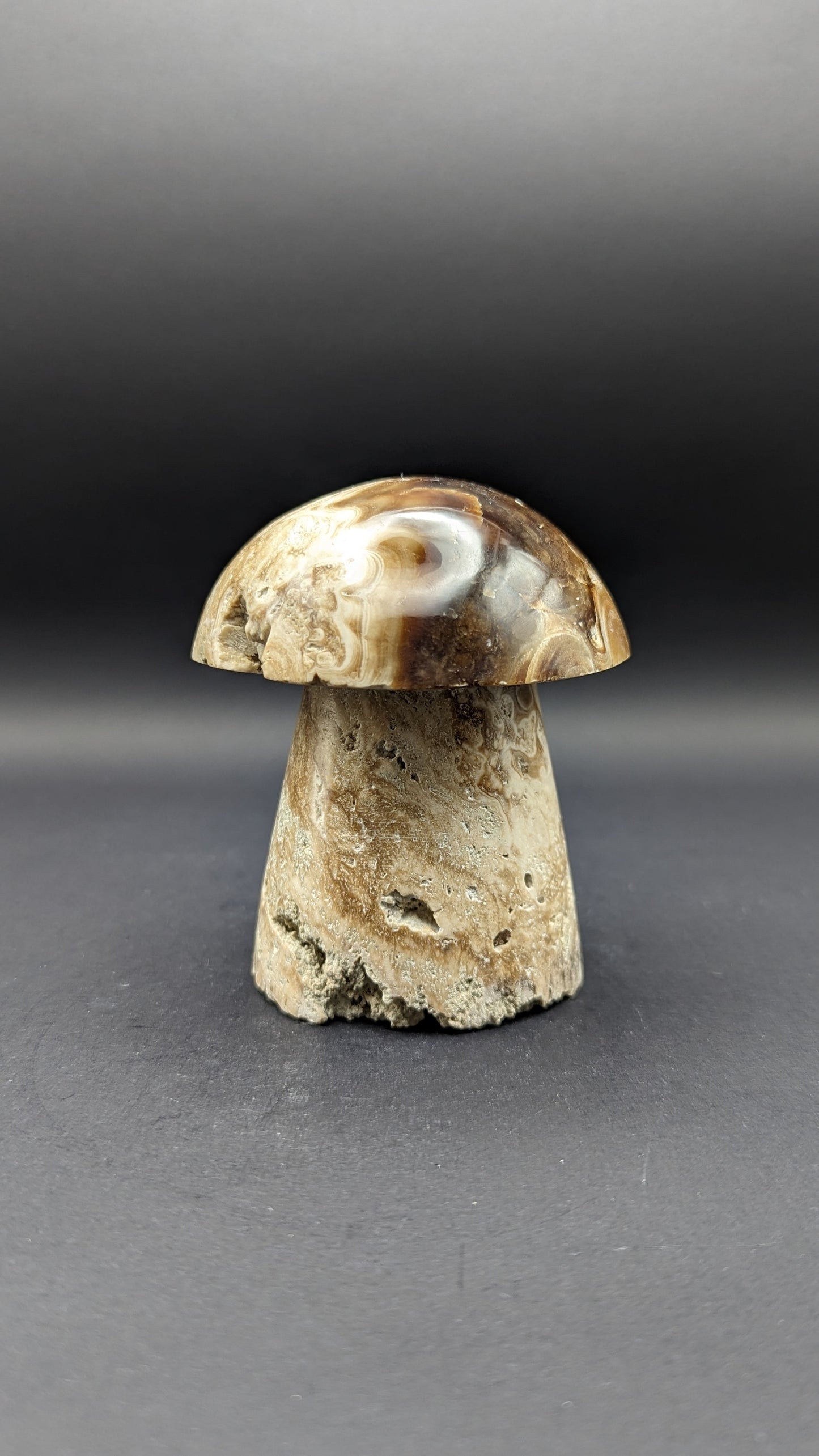 Chocolate Calcite Mushroom Carving