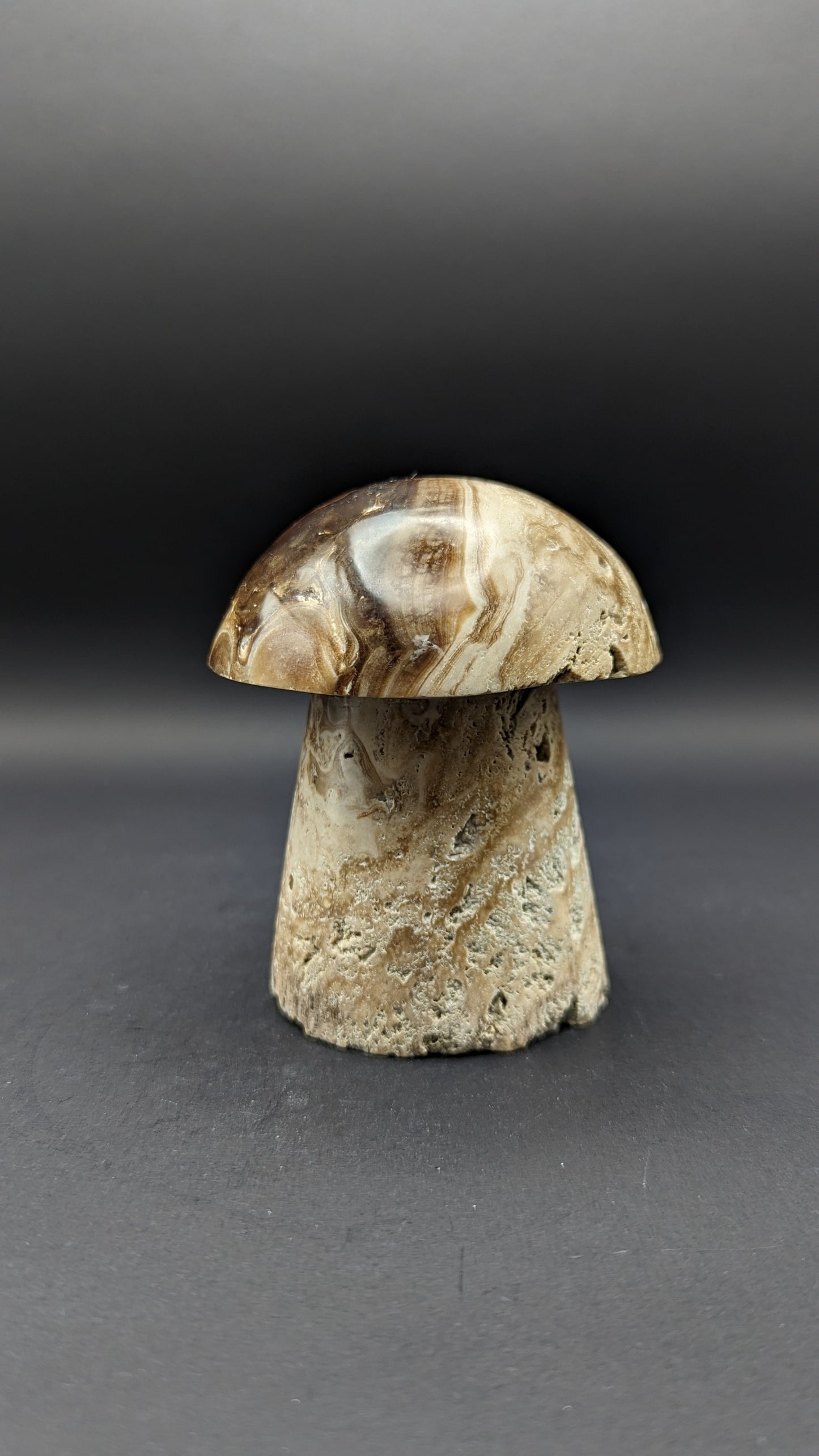 Chocolate Calcite Mushroom Carving