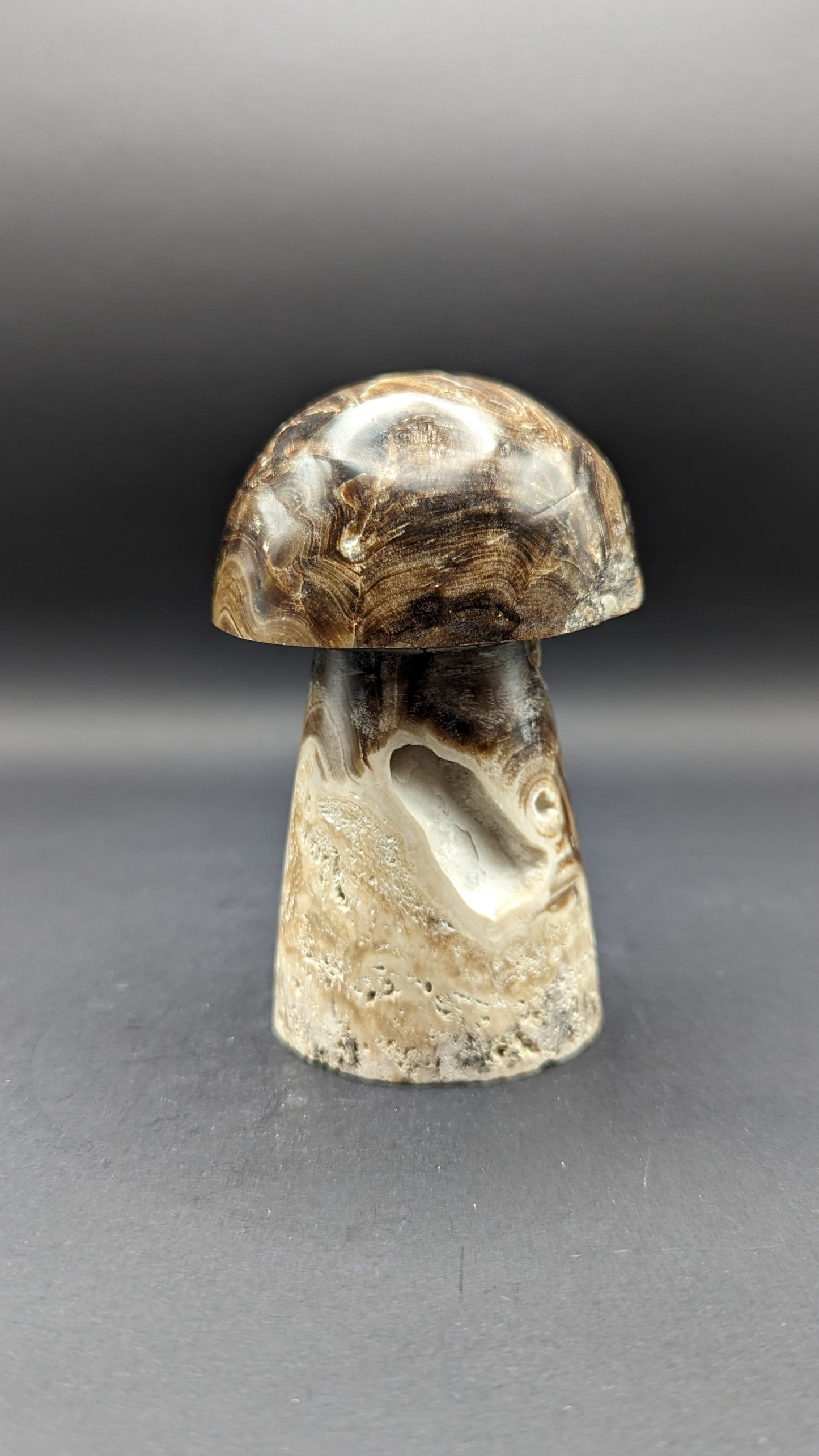 Chocolate Calcite Mushroom Carving