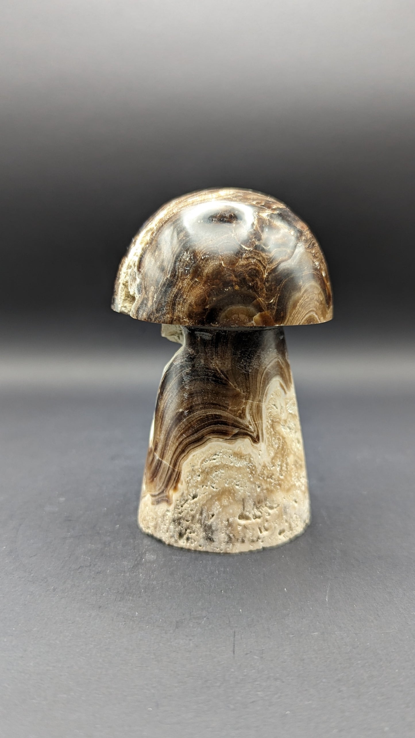 Chocolate Calcite Mushroom Carving