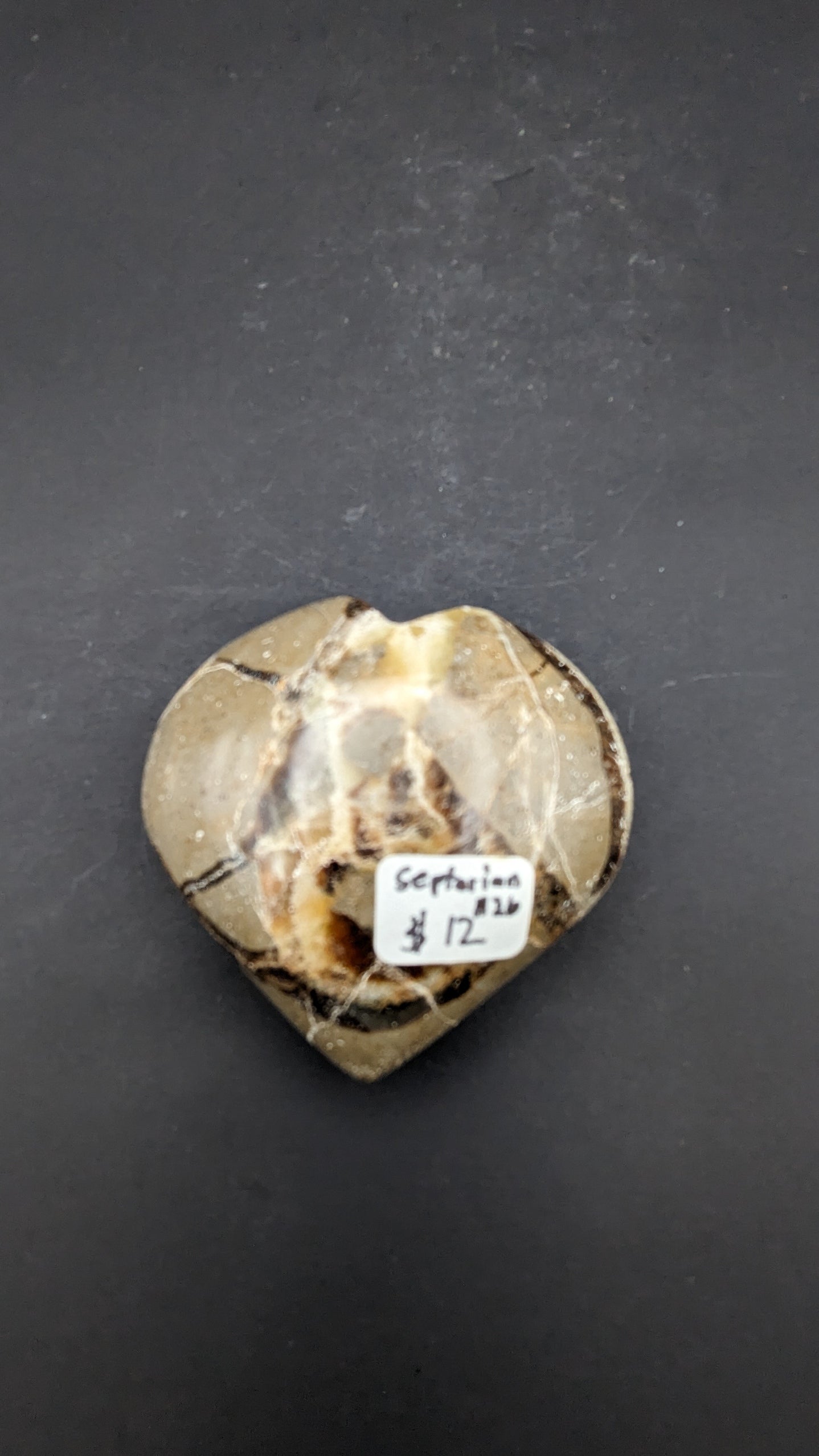 Septarian Heart