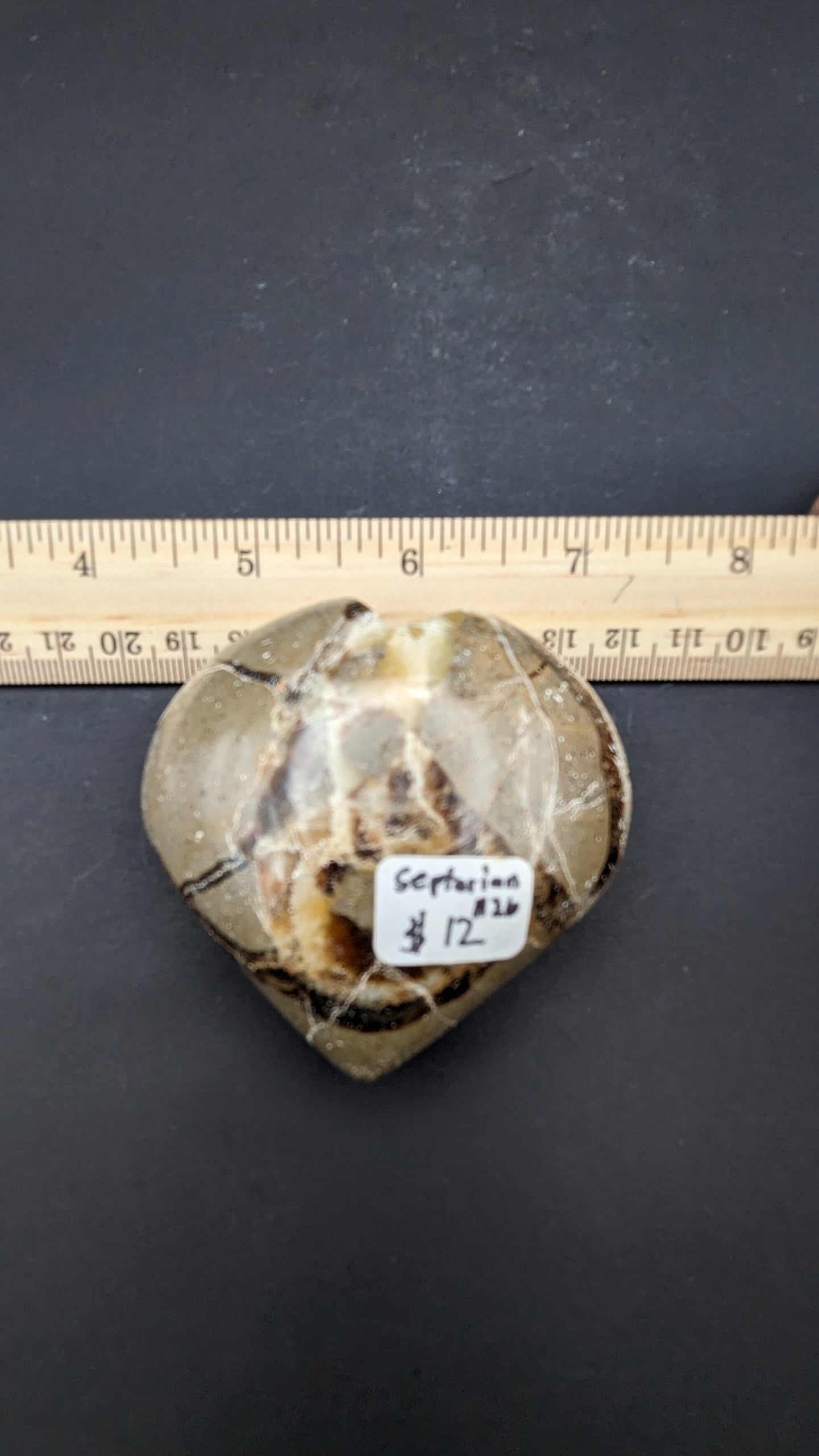 Septarian Heart