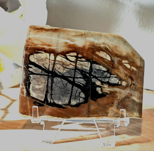 Picasso Marble Slab