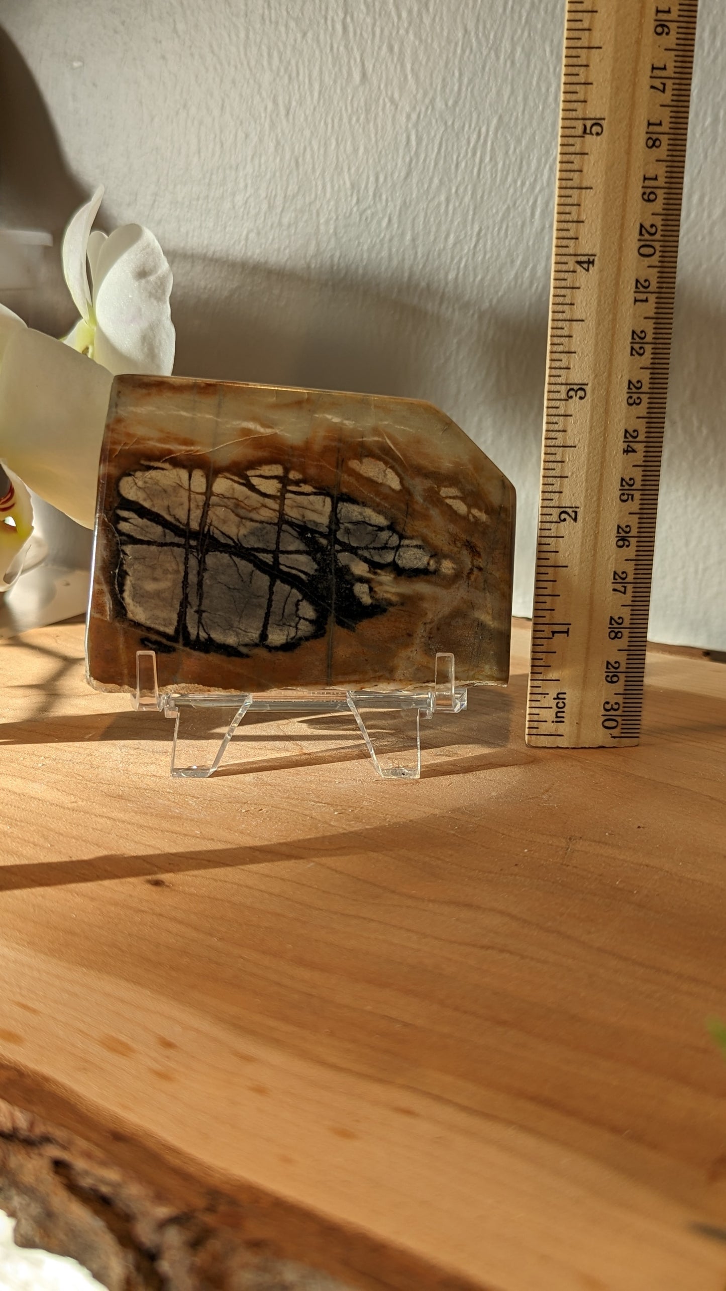 Picasso Marble Slab