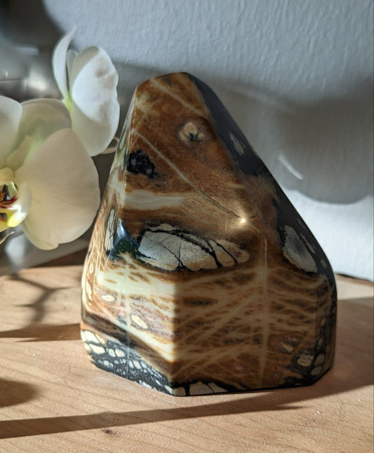 Picasso Marble Freeform