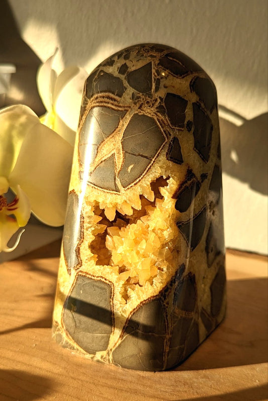 Septarian Freeform