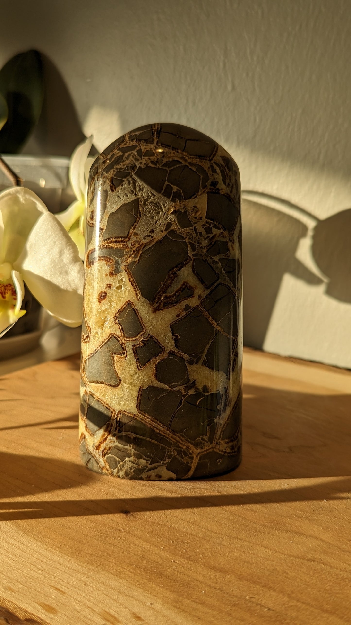 Septarian Freeform