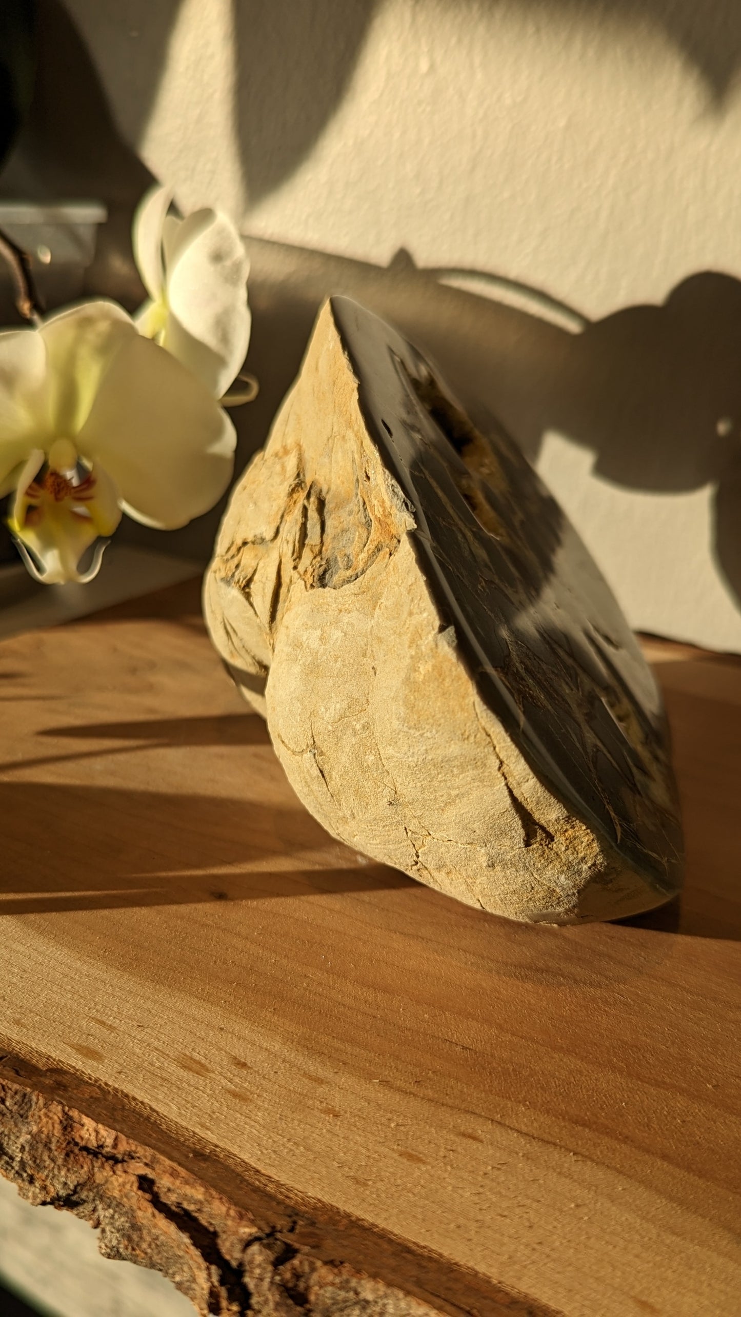 Septarian Rough Freeform