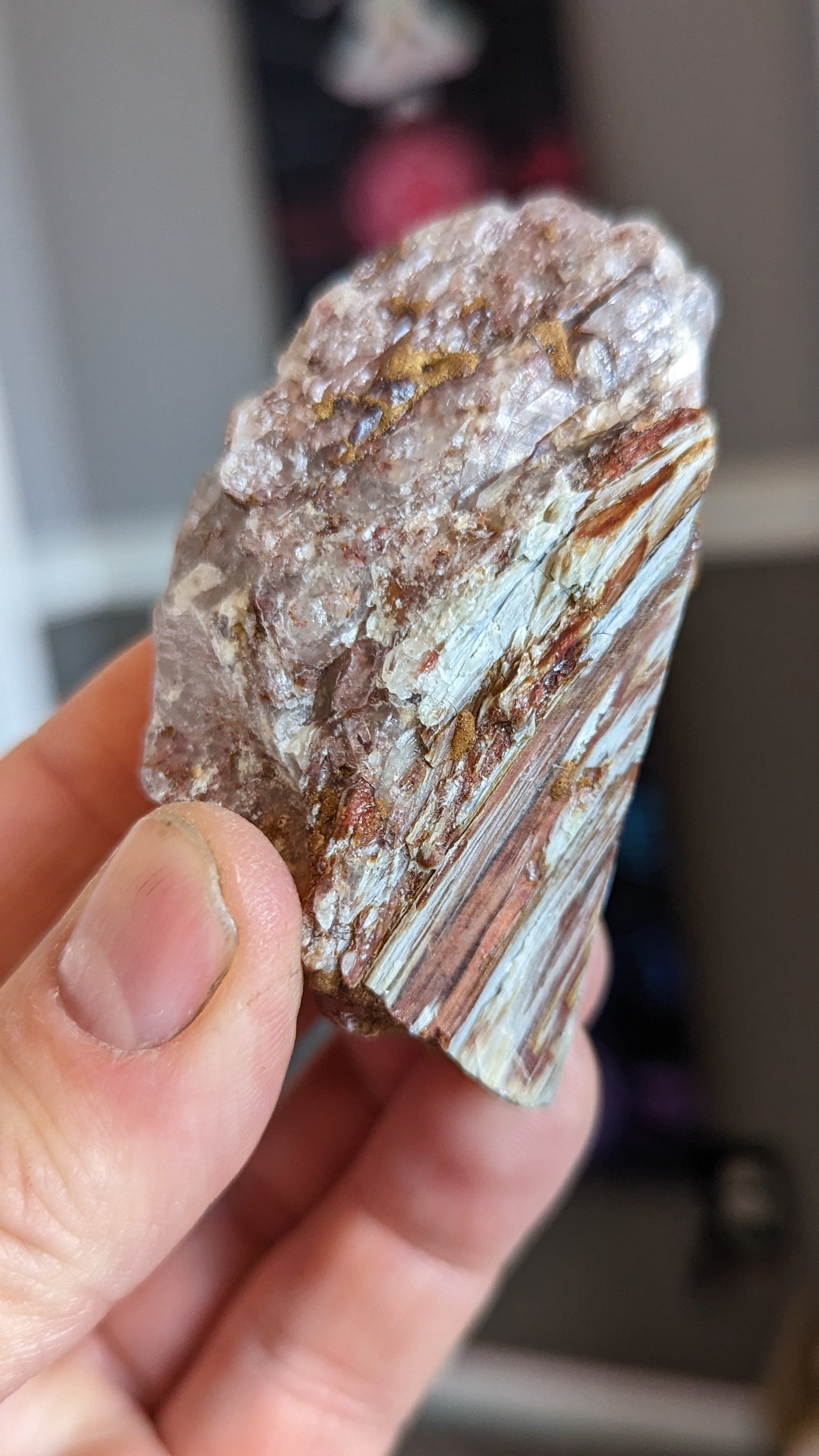Angel Amphibole Lemurian Quartz