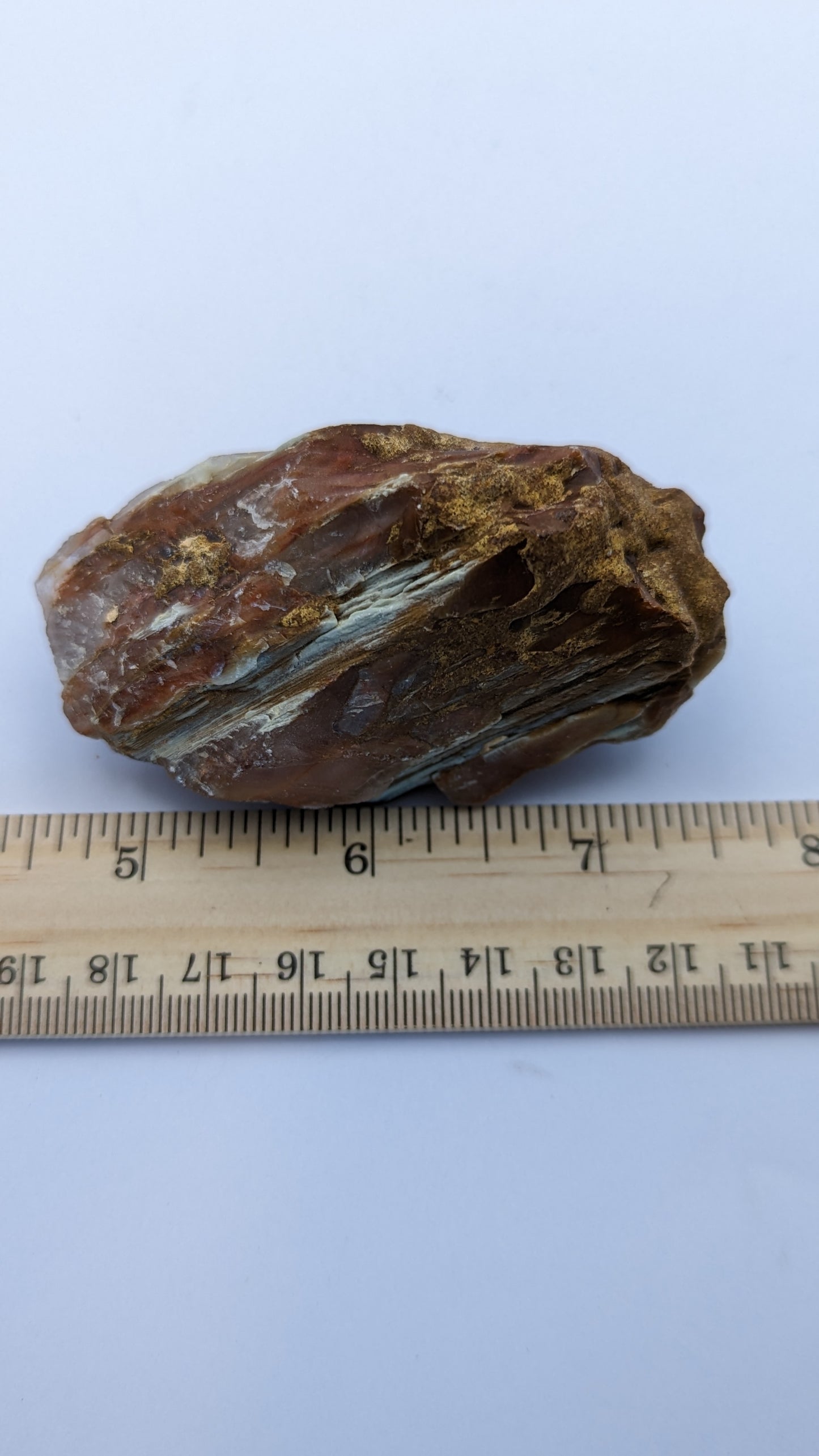 Angel Amphibole Lemurian Quartz