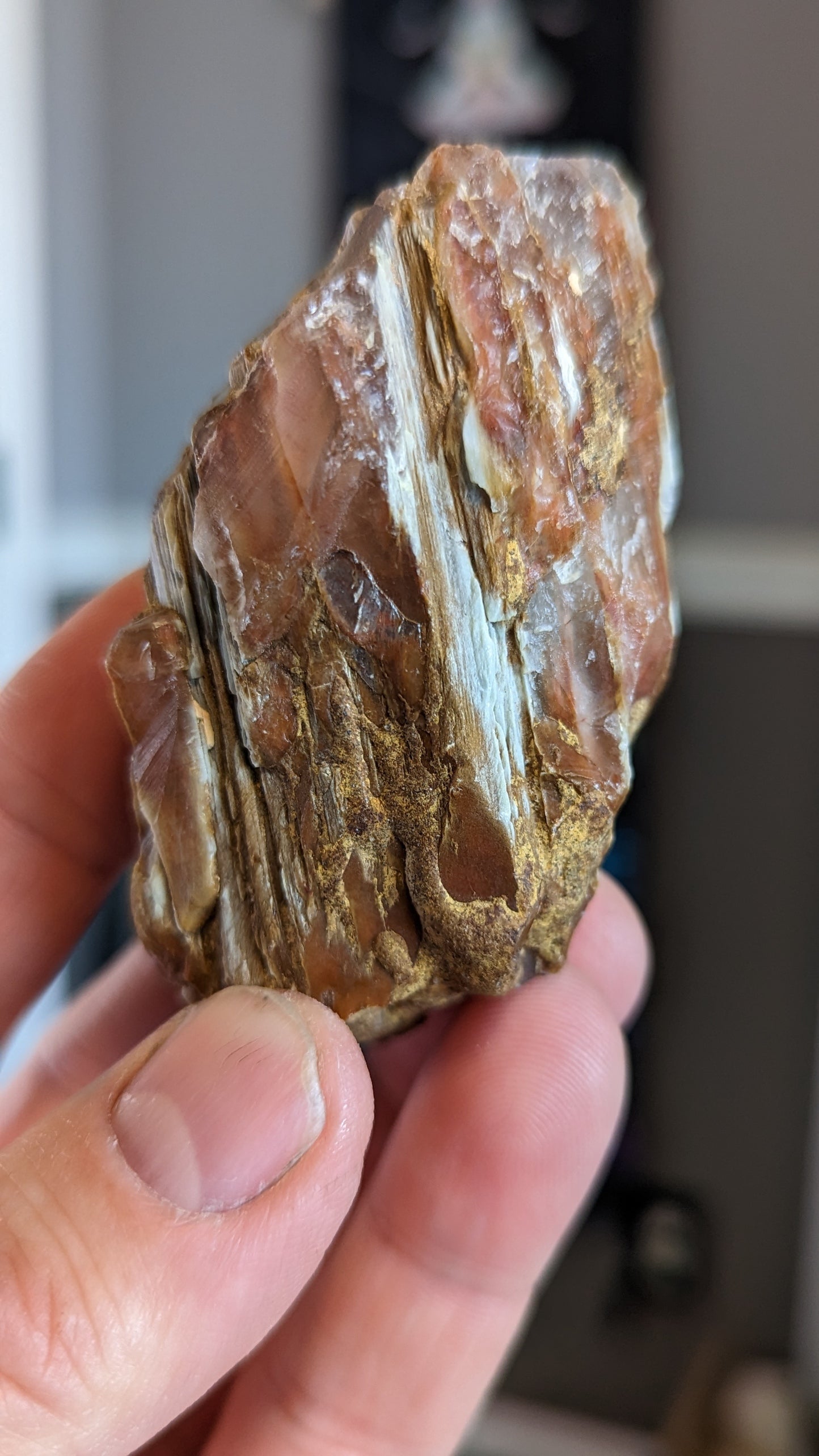 Angel Amphibole Lemurian Quartz